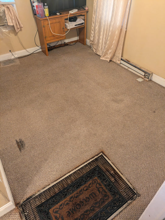 Carpet Cleaning
